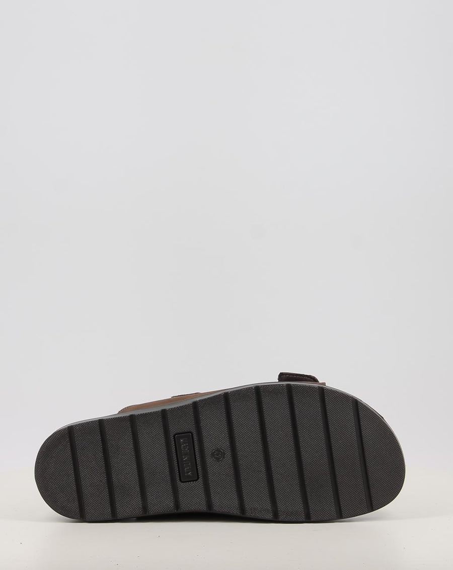 FRANK 103480