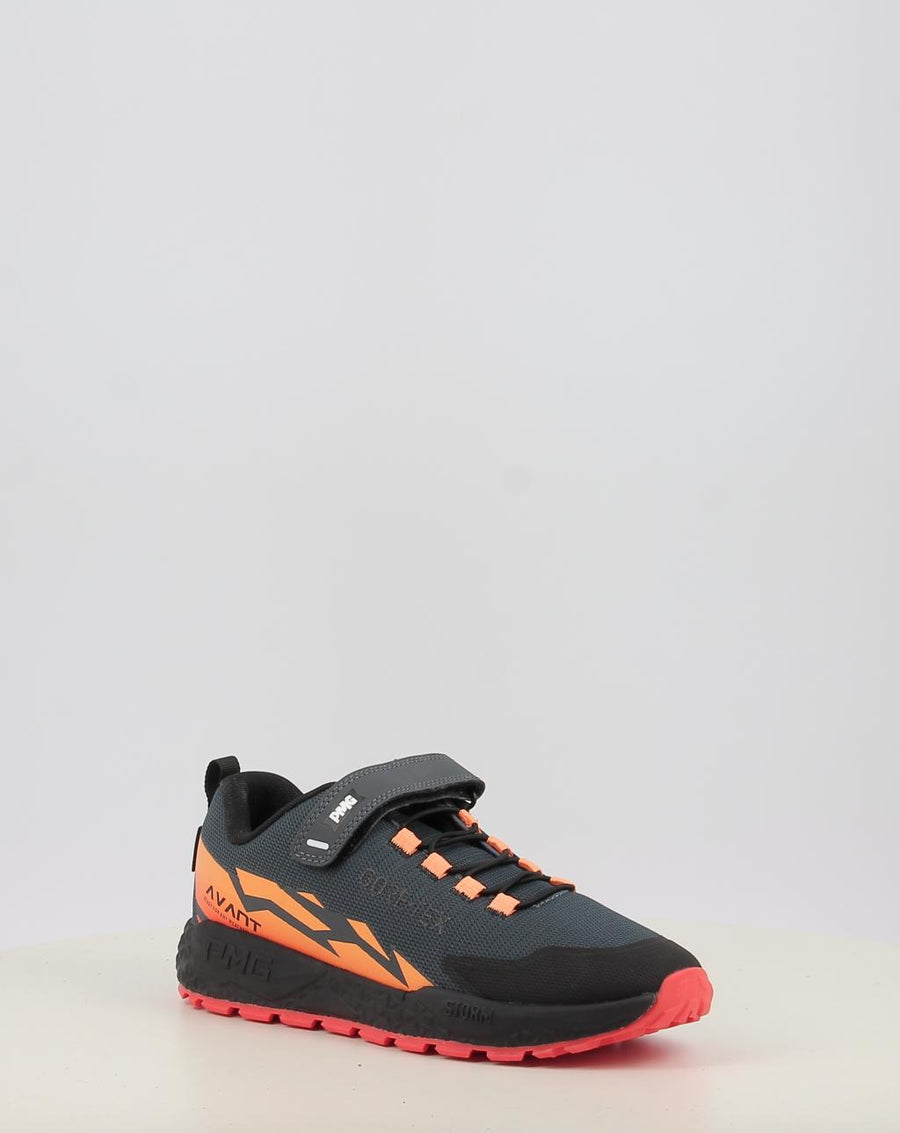 PIM GTX 2419055
