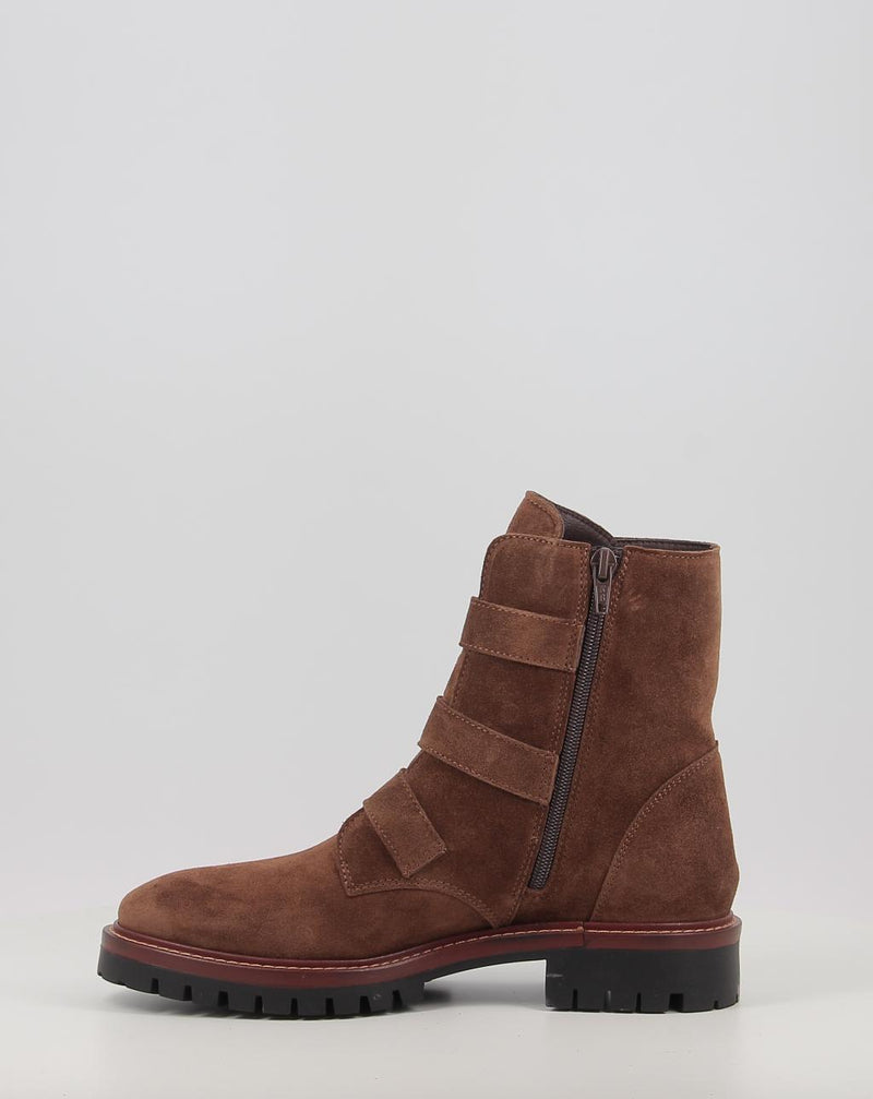 Stiefeletten ALPE MILITARE 5209 braun