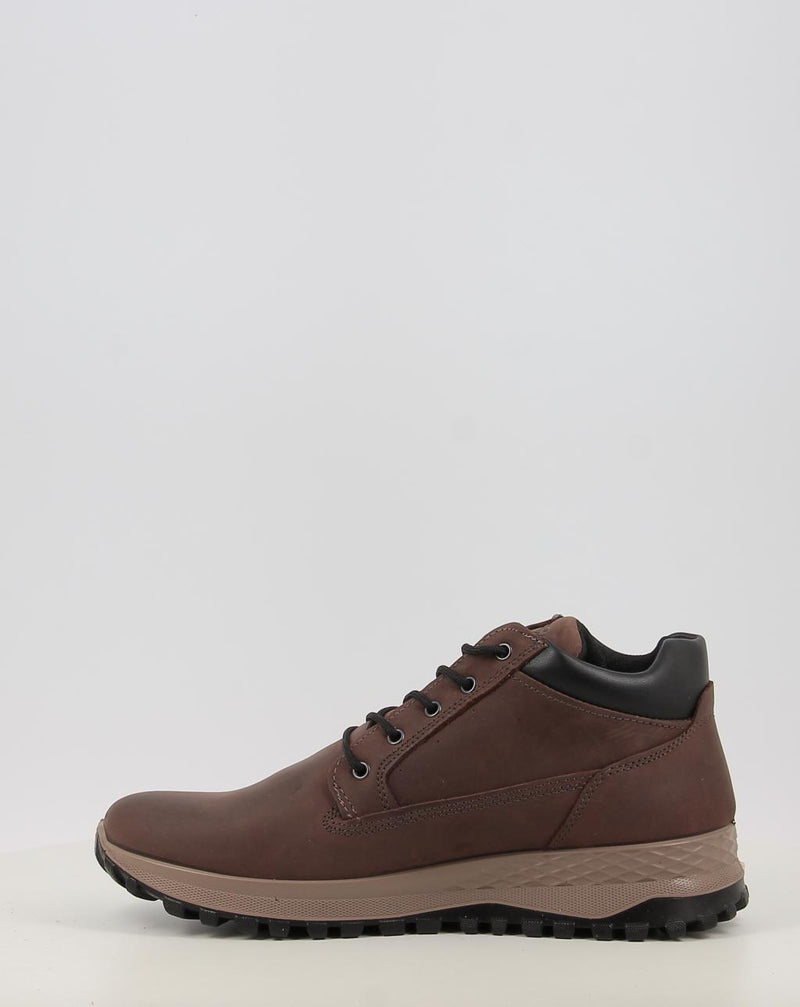 Stiefeletten IGI & CO U.EOLO GTX 86255 braun