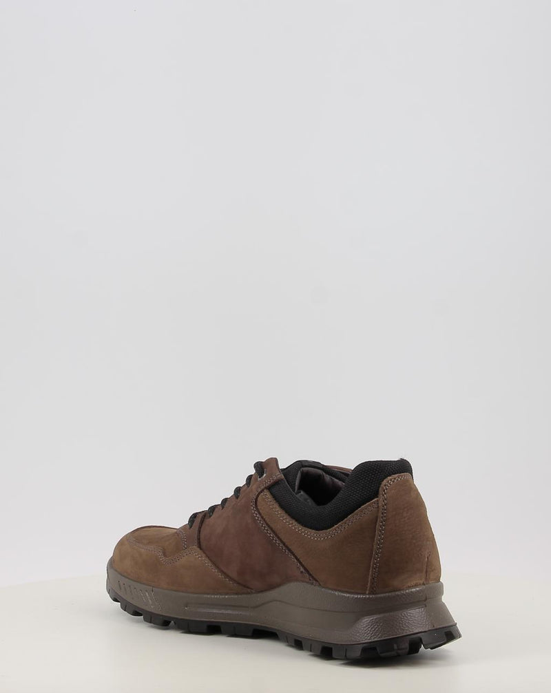 Schuhe IGI & CO U.ELOY GTX 86294 taupe