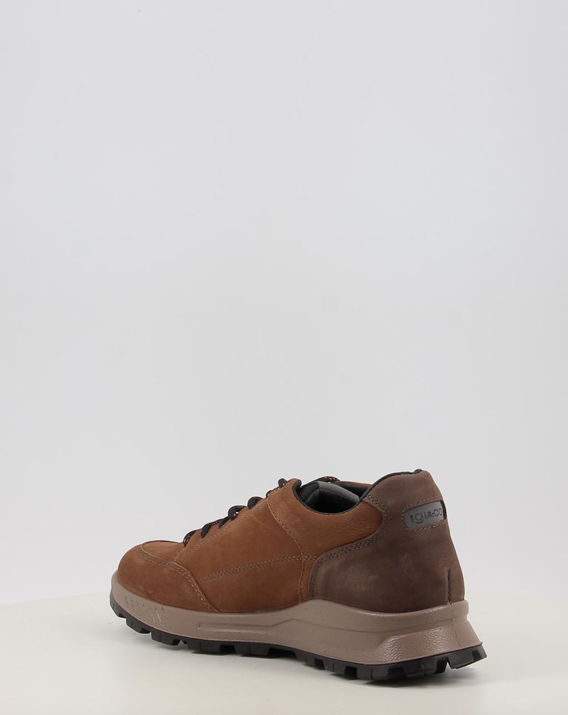 Schuhe IGI & CO U.ELOY GTX 86295 Leder